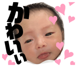 541982381