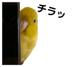 541985710
