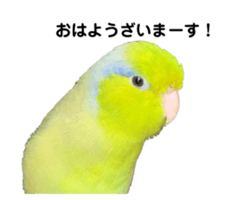 541985714