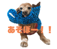 542007134