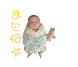 542019250