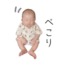 542019251