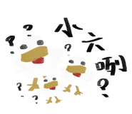 542020018