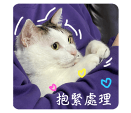 542066109