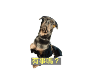 542091735