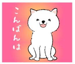 542098049