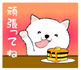 542098068