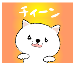 542098079