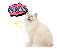 542150421