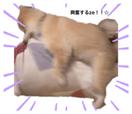 542159095