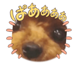 542203870