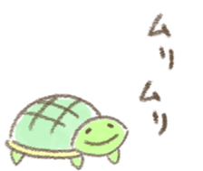 542204035