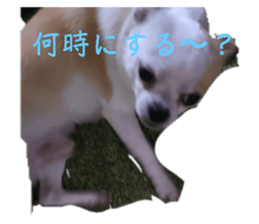542207117