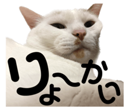 542218913