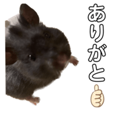 542227626