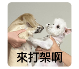 542273394