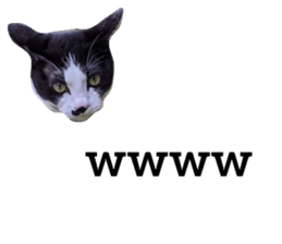 542291483