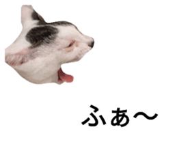 542291484
