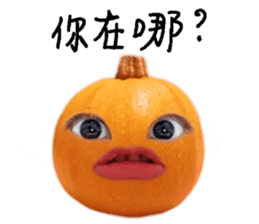 542325527