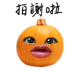 542325538