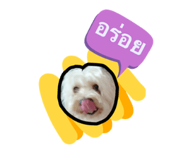 542329366