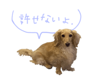 542344027