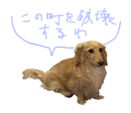 542344028