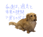 542344029