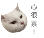 542344270