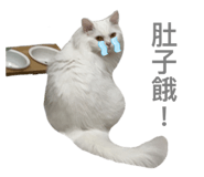 542344274
