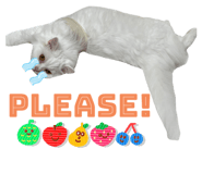 542344275