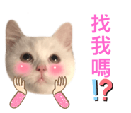 542344279