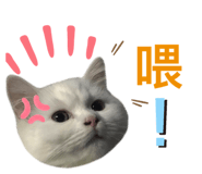 542344281