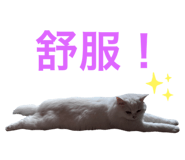 542344283