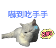 542344284