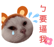 542344285
