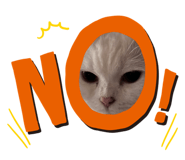 542344287