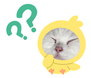 542344289