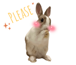 542345966