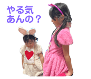 542349794