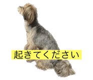 542350867