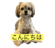 542350869