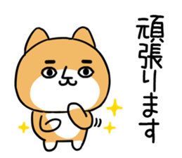 542371931