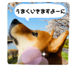 542375166