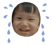 542381008