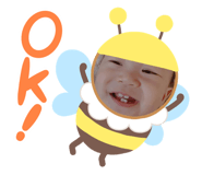 542381011