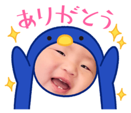 542385636