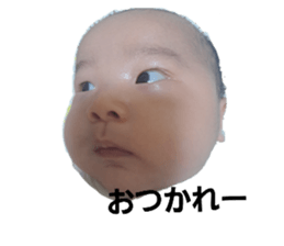 542401078