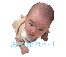 542402847
