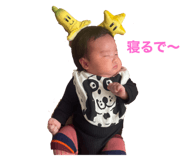 542408631